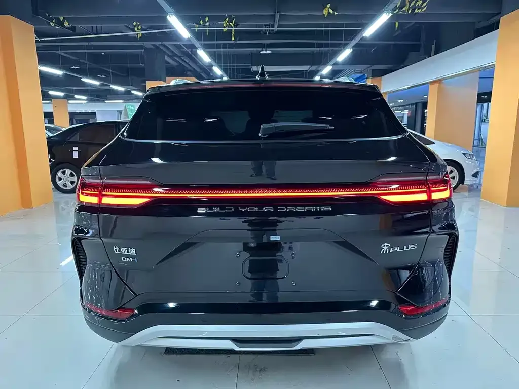 BYD PLUS New Energy 2023 из CN, фото 3