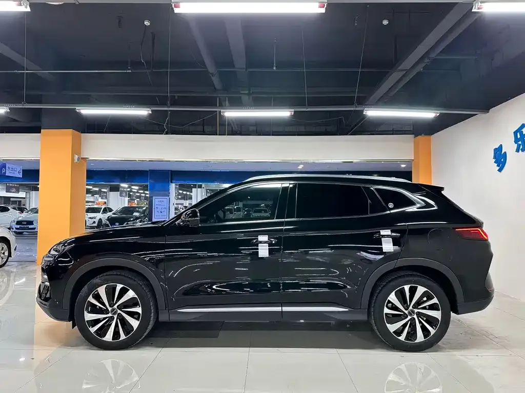 BYD PLUS New Energy 2023 из CN, фото 8
