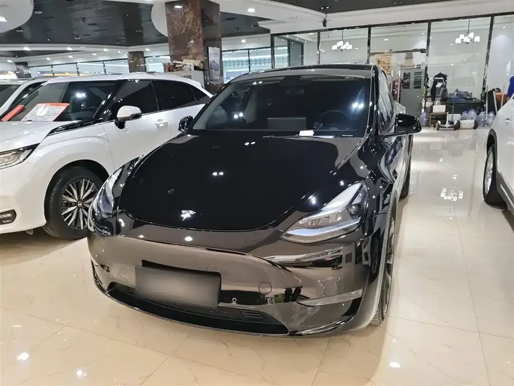 Tesla Model Y — фото 1