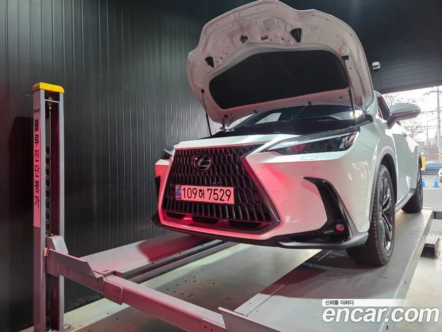 Lexus NX 2025 из KR, фото 1