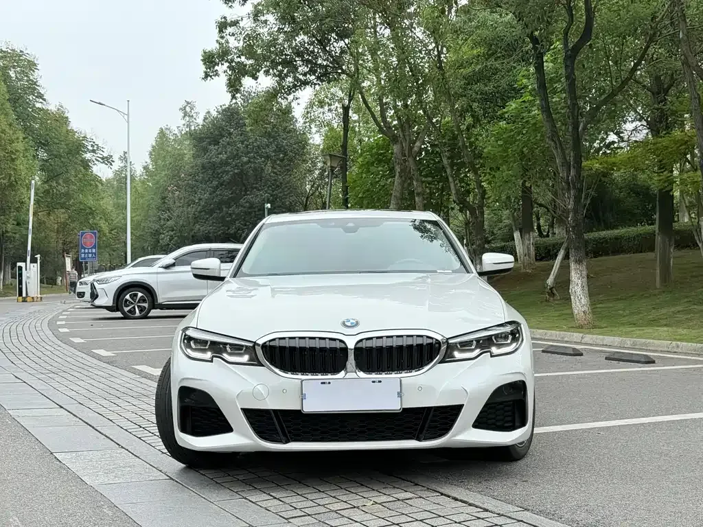 BMW 3 Series 2022 из CN, фото 7