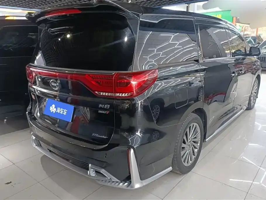 GAC Motor Trumpchi M8 2021 из CN, фото 8