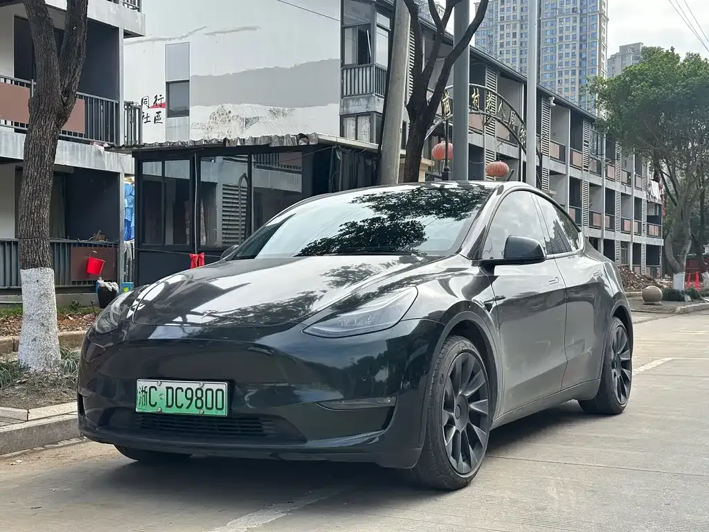 Tesla Model Y 2021 из CN, фото 1