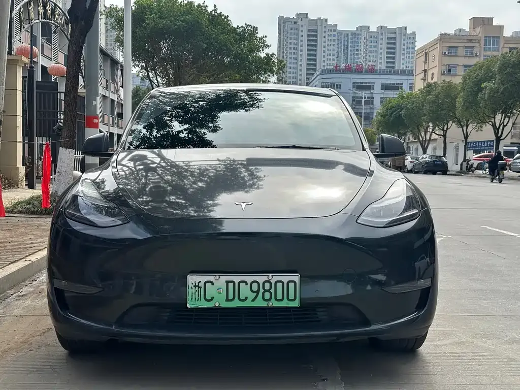 Tesla Model Y 2021 из CN, фото 2