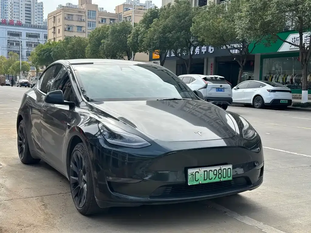 Tesla Model Y 2021 из CN, фото 6