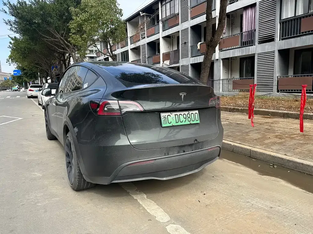 Tesla Model Y 2021 из CN, фото 9