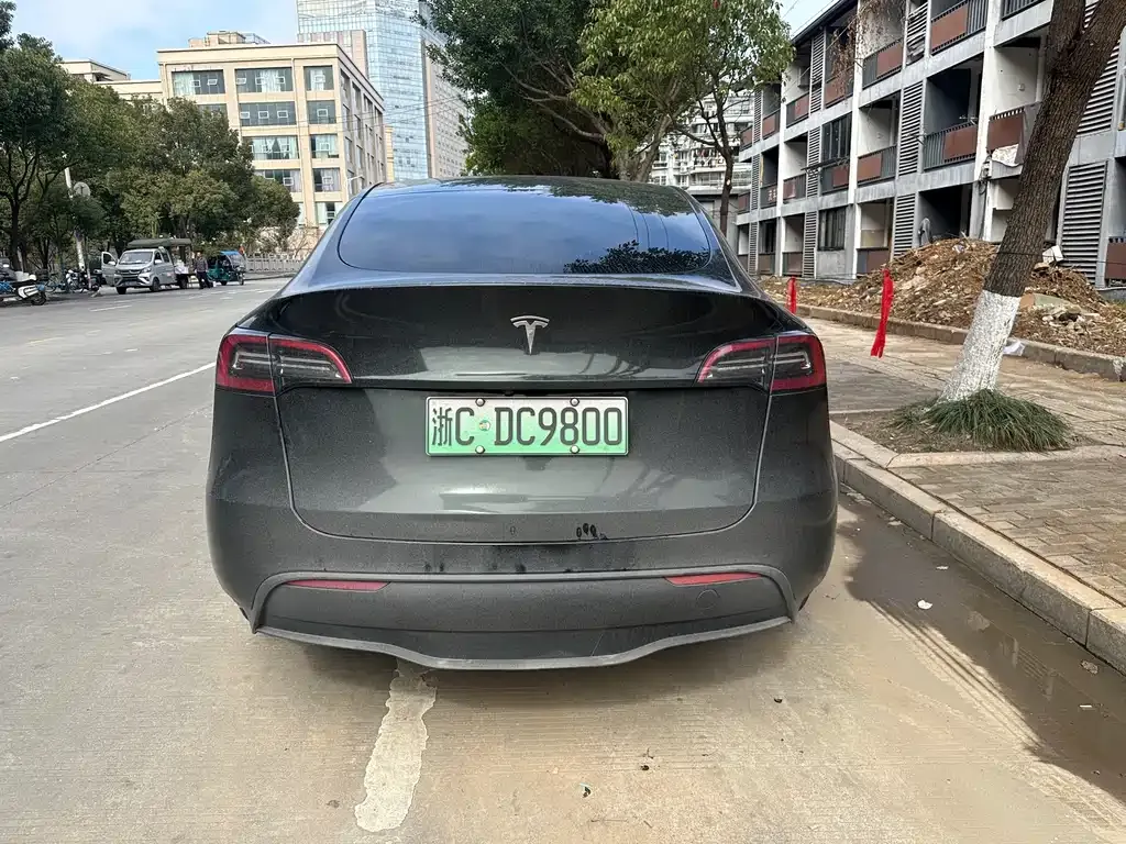 Tesla Model Y 2021 из CN, фото 8