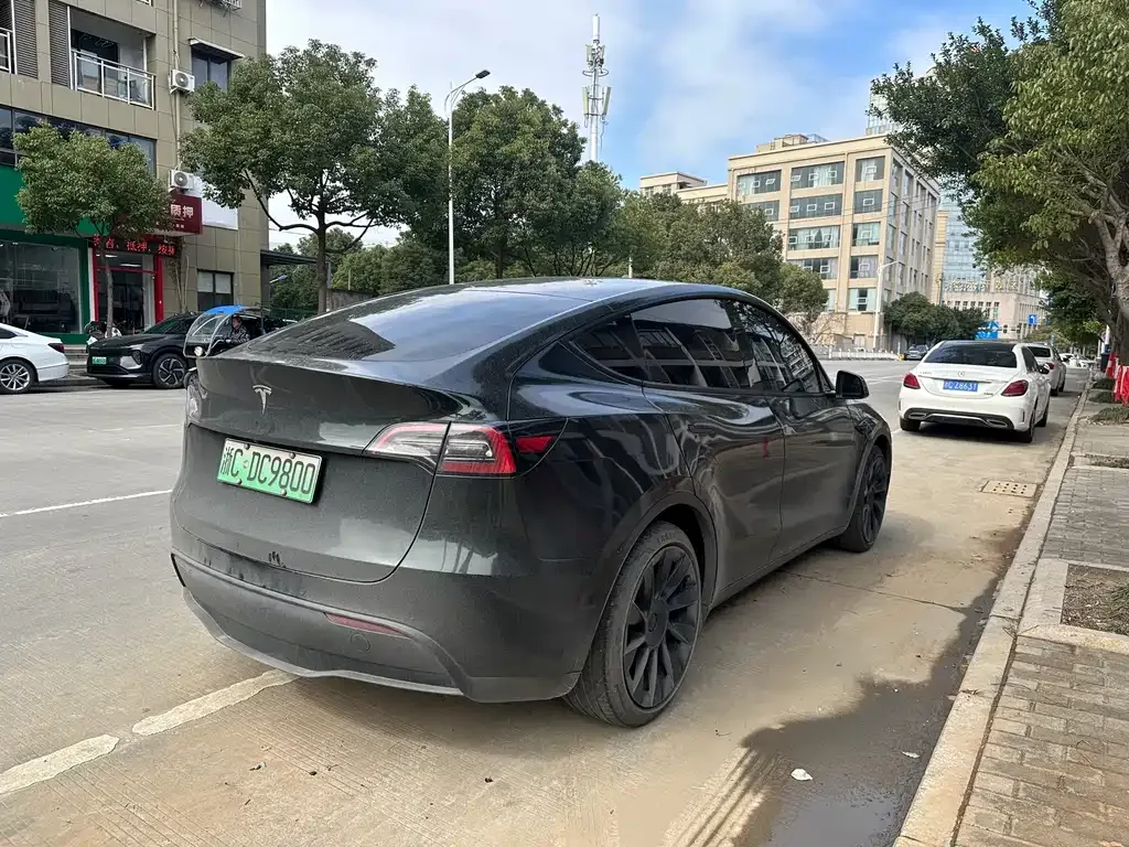 Tesla Model Y 2021 из CN, фото 5