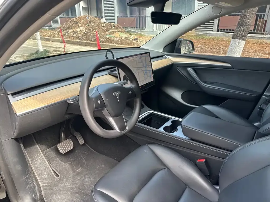 Tesla Model Y 2021 из CN, фото 4
