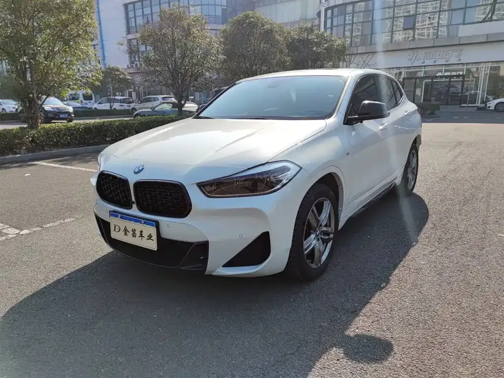 BMW X2 2023 из CN, фото 1