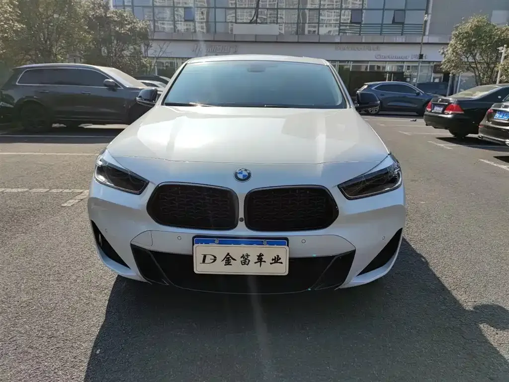BMW X2 2023 из CN, фото 4