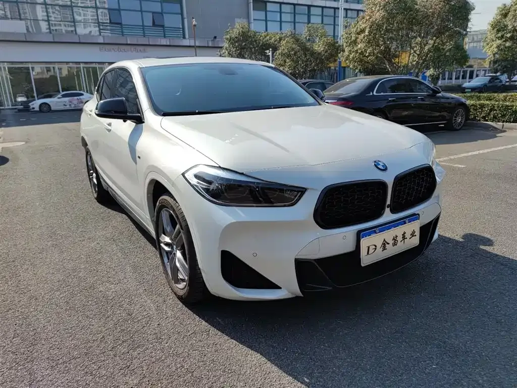 BMW X2 2023 из CN, фото 9