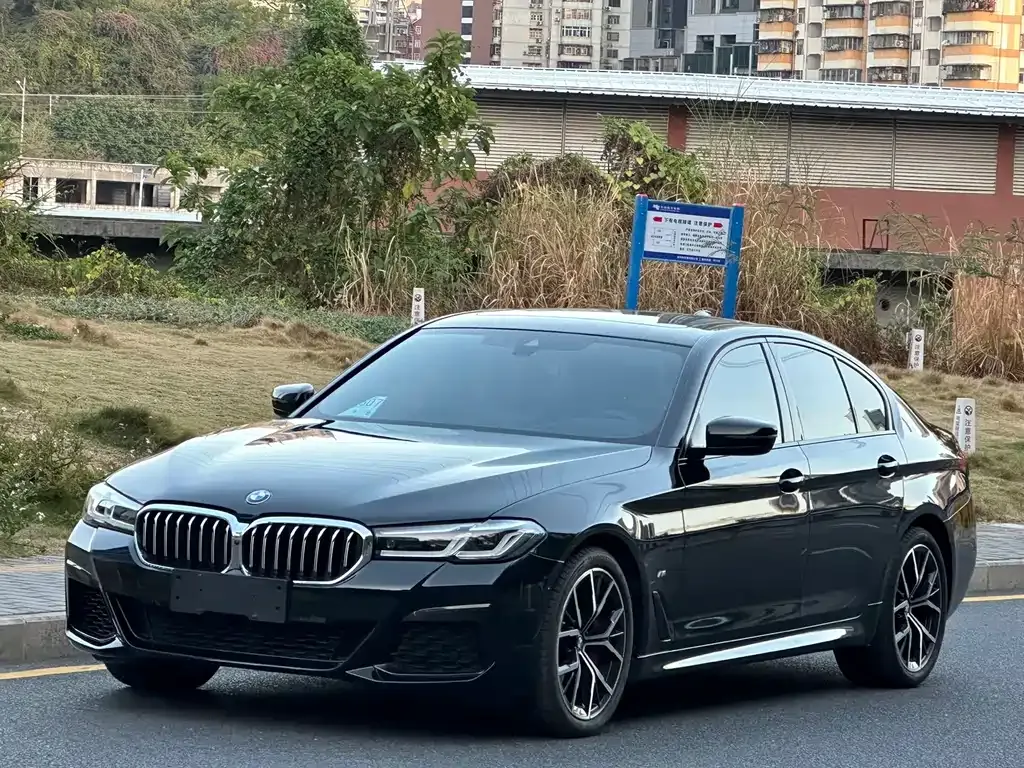 BMW 5 Series (Import) 2023 из CN, фото 1