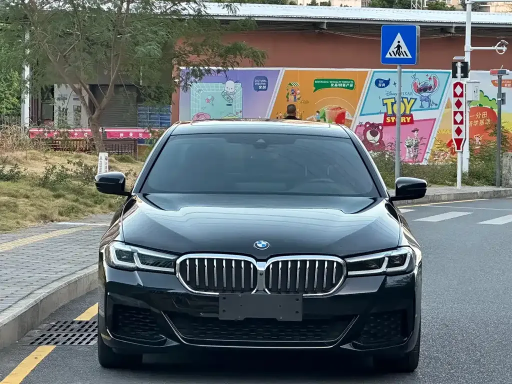 BMW 5 Series (Import) 2023 из CN, фото 2