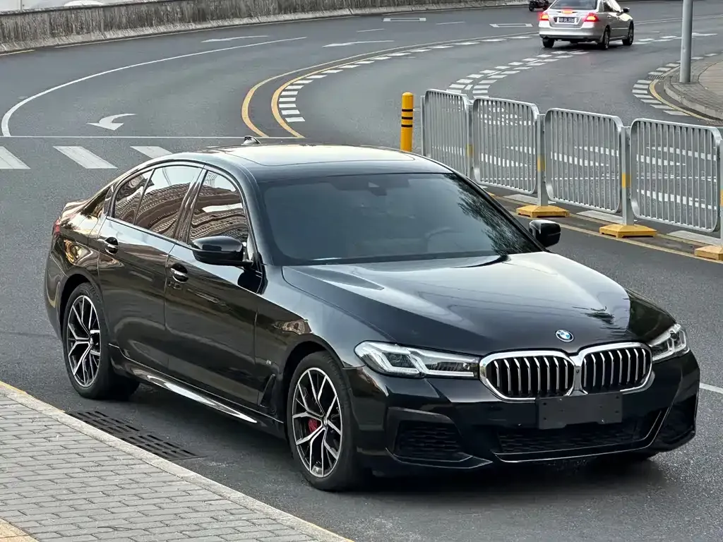 BMW 5 Series (Import) 2023 из CN, фото 4