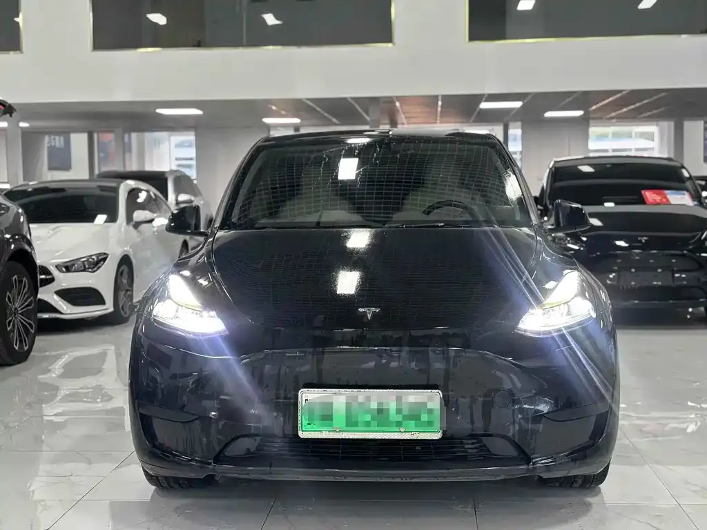 Tesla Model Y — фото 10
