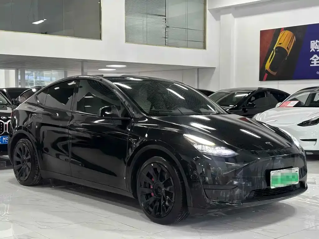 Tesla Model Y — фото 9
