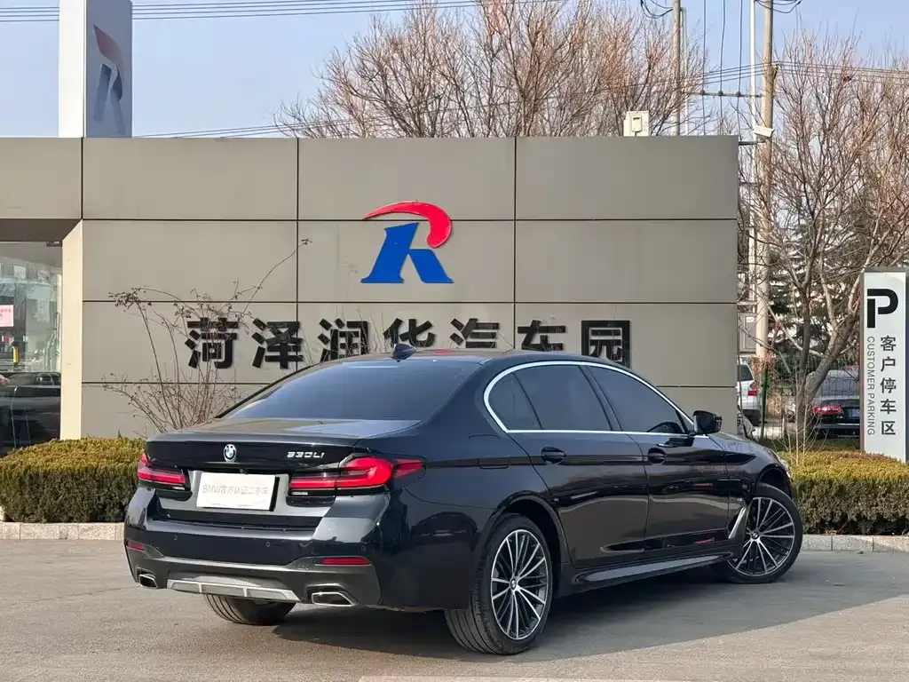 BMW 5 Series 2024 из CN, фото 5