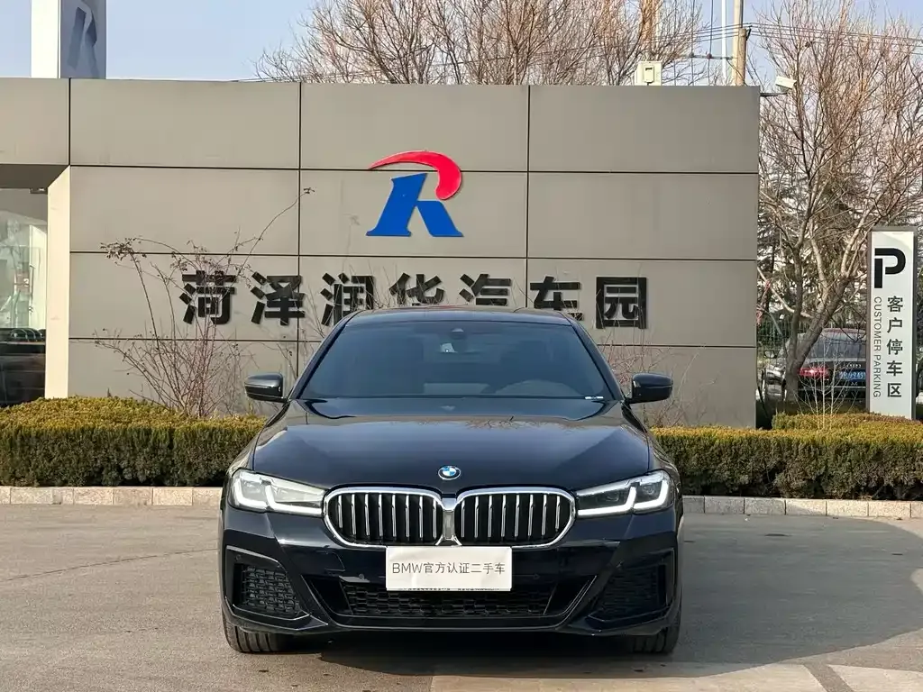 BMW 5 Series 2024 из CN, фото 6