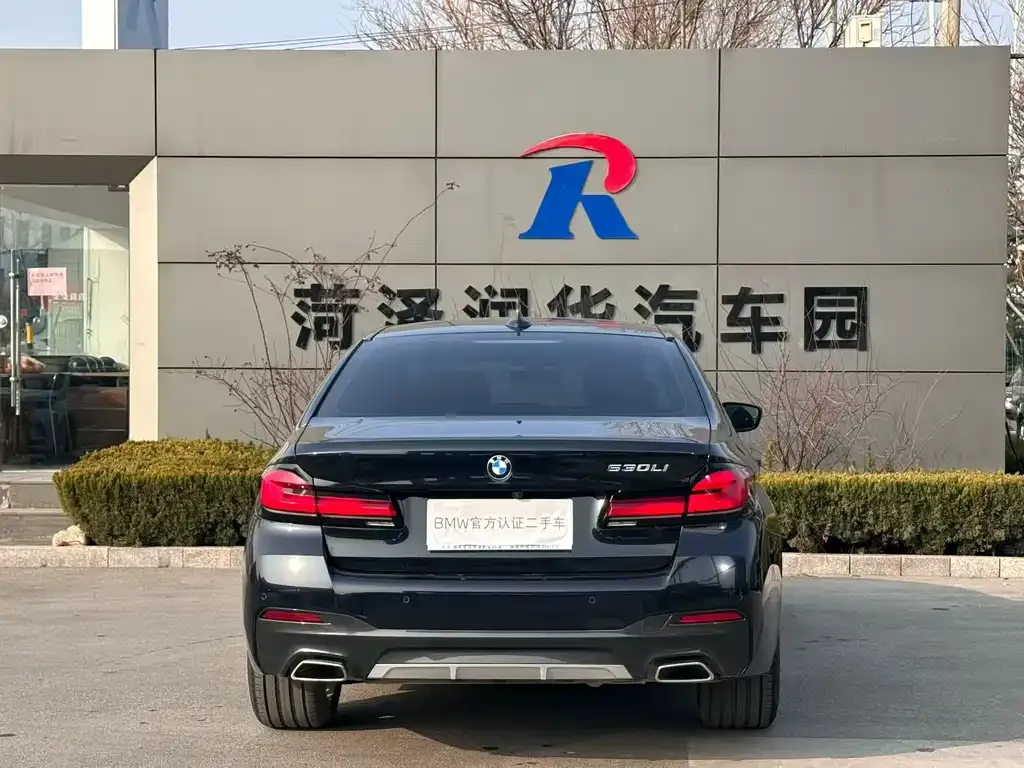 BMW 5 Series 2024 из CN, фото 10