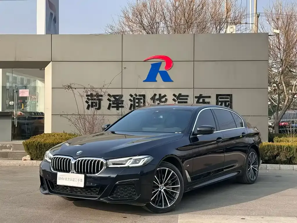 BMW 5 Series 2024 из CN, фото 3