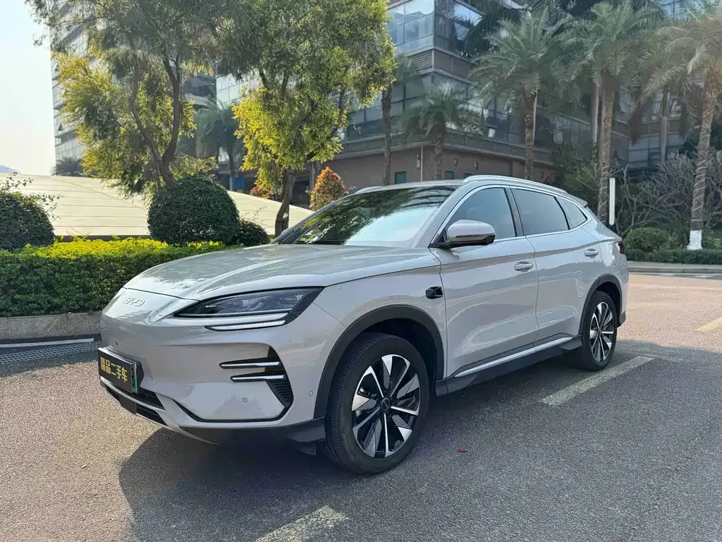 BYD PLUS New Energy 2025 из CN, фото 1
