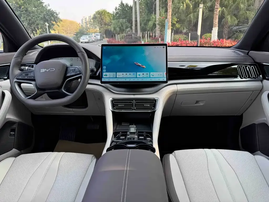 BYD PLUS New Energy 2025 из CN, фото 3