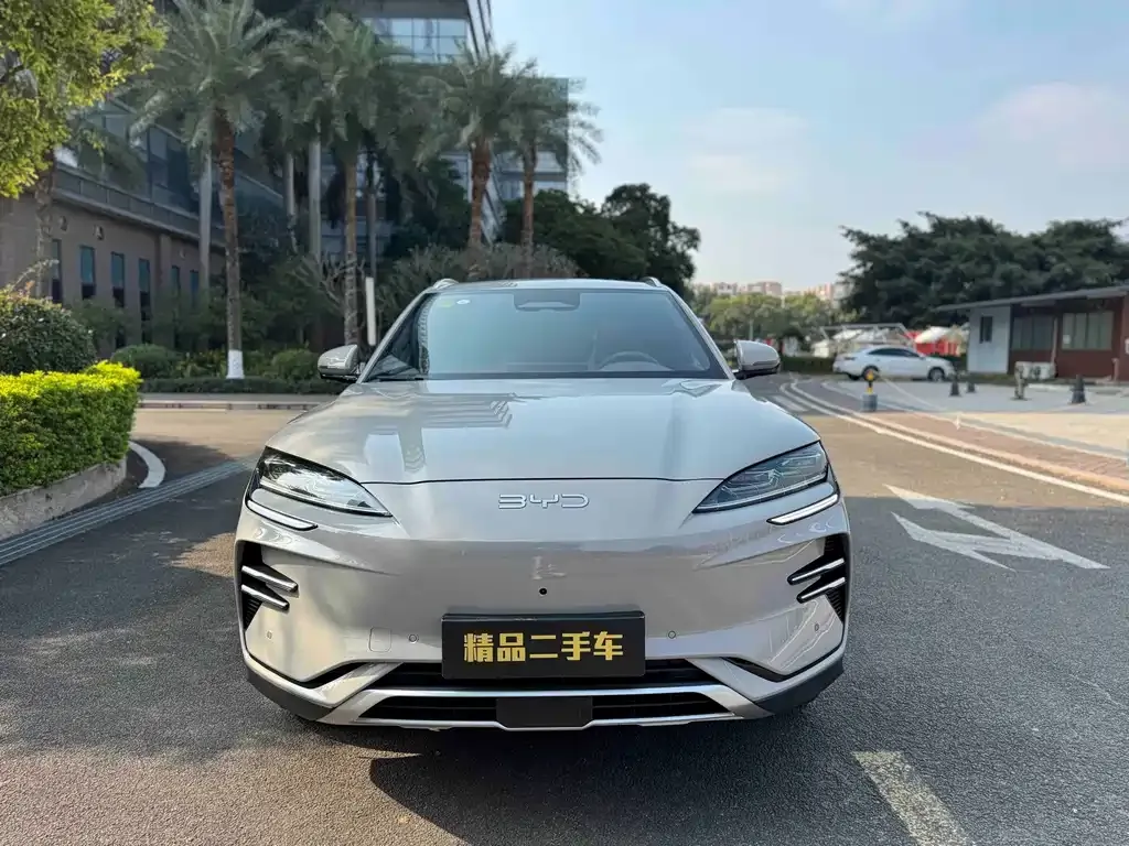 BYD PLUS New Energy 2025 из CN, фото 4
