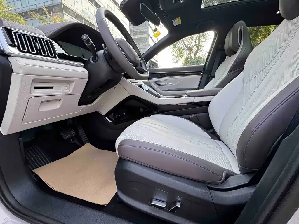 BYD PLUS New Energy 2025 из CN, фото 8