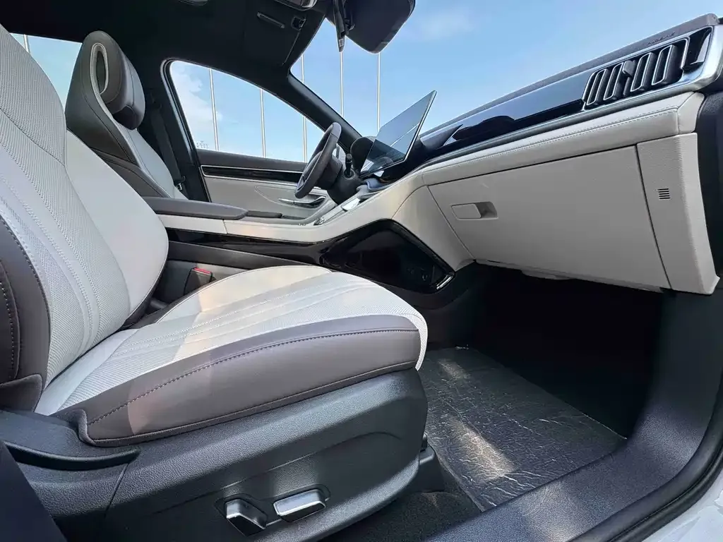 BYD PLUS New Energy 2025 из CN, фото 10