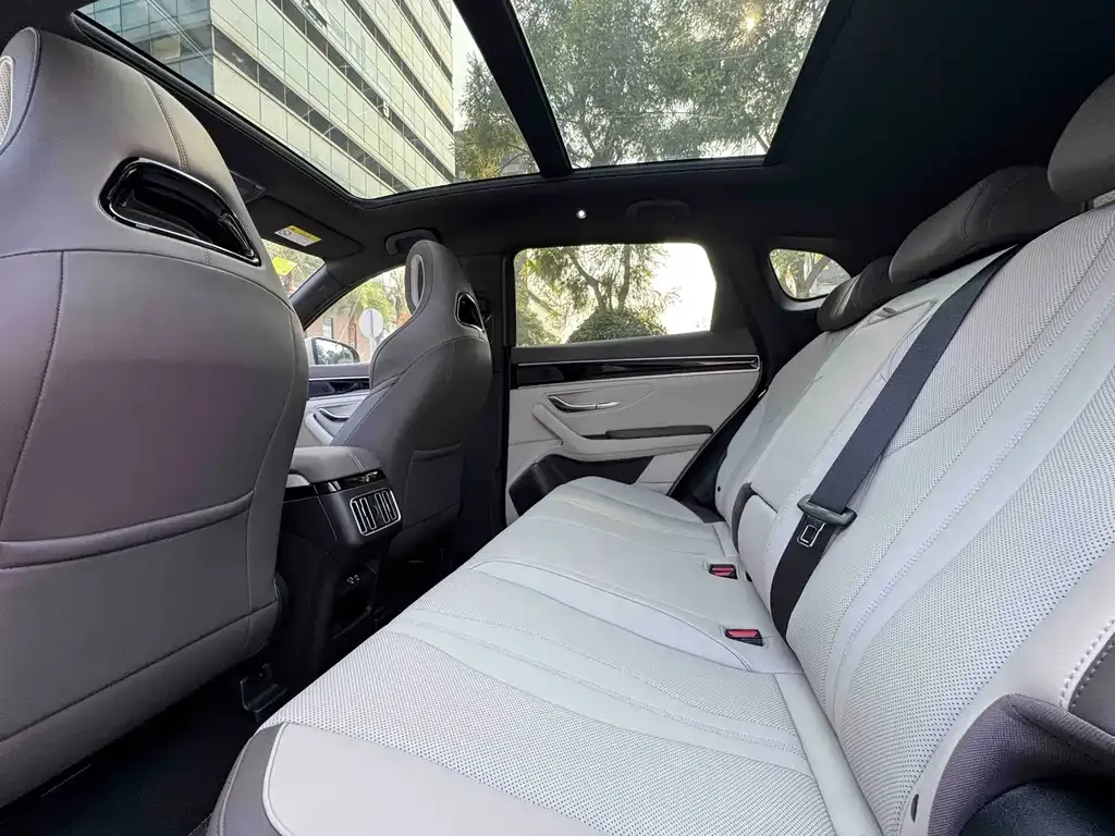 BYD PLUS New Energy 2025 из CN, фото 9