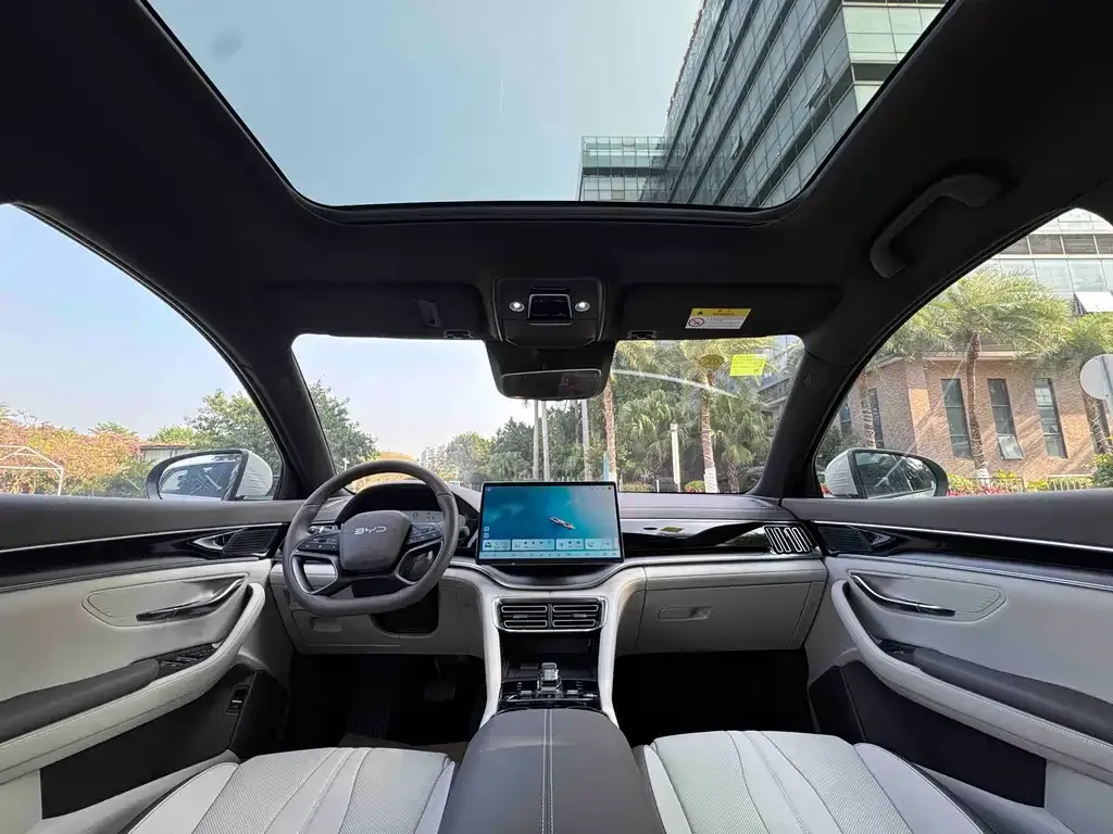 BYD PLUS New Energy 2025 из CN, фото 6
