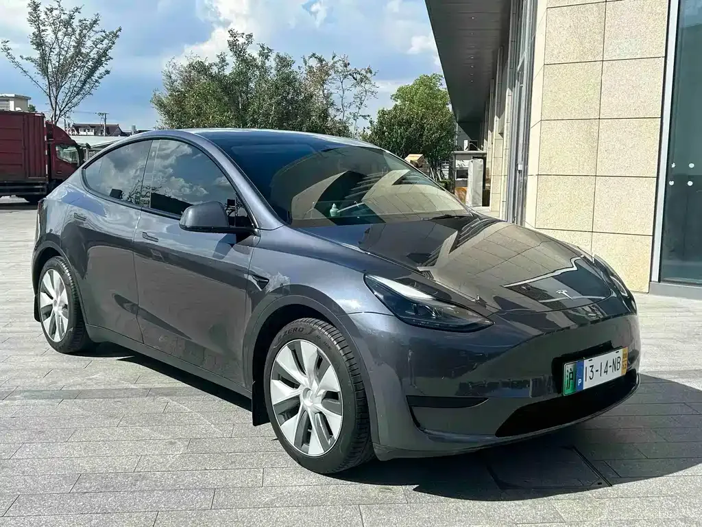Tesla Model Y 2022 из CN, фото 1