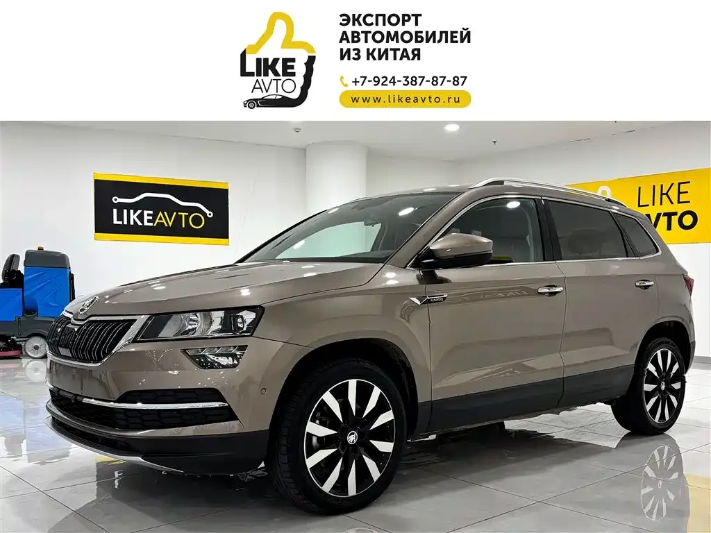 Skoda Karoq 2022 из CN, фото 1