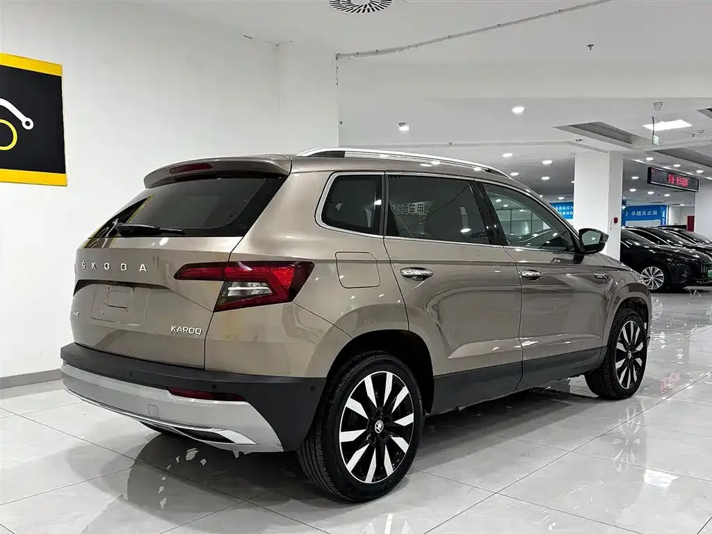 Skoda Karoq 2022 из CN, фото 2