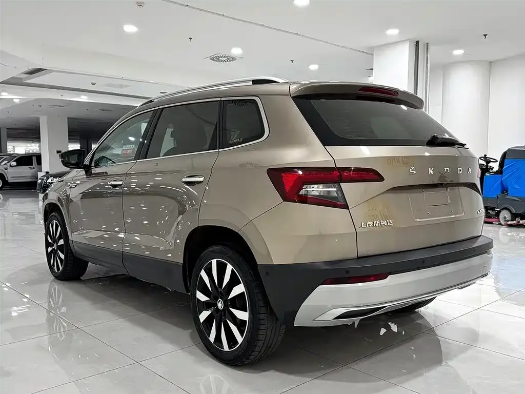 Skoda Karoq 2022 из CN, фото 5