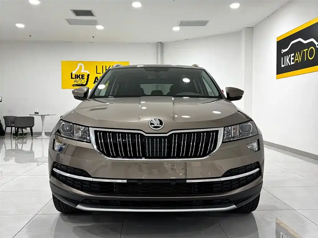 Skoda Karoq 2022 из CN, фото 9