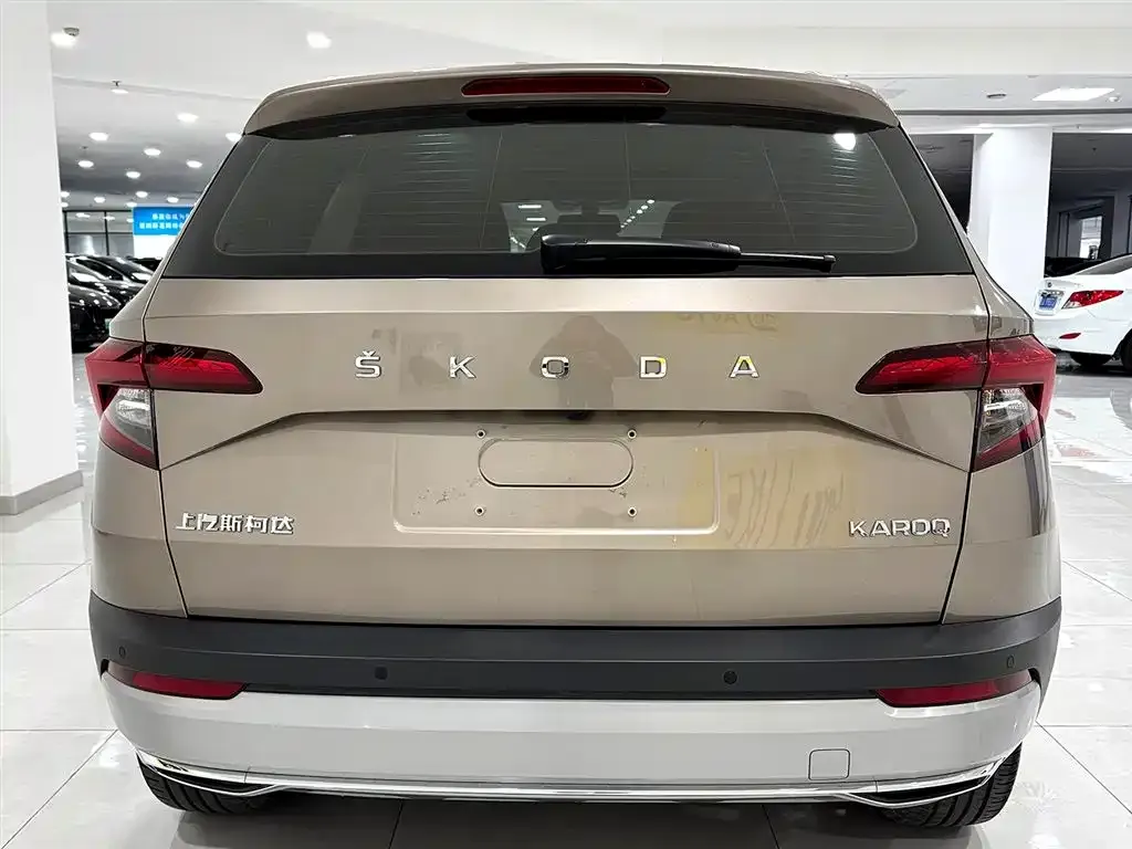 Skoda Karoq 2022 из CN, фото 4