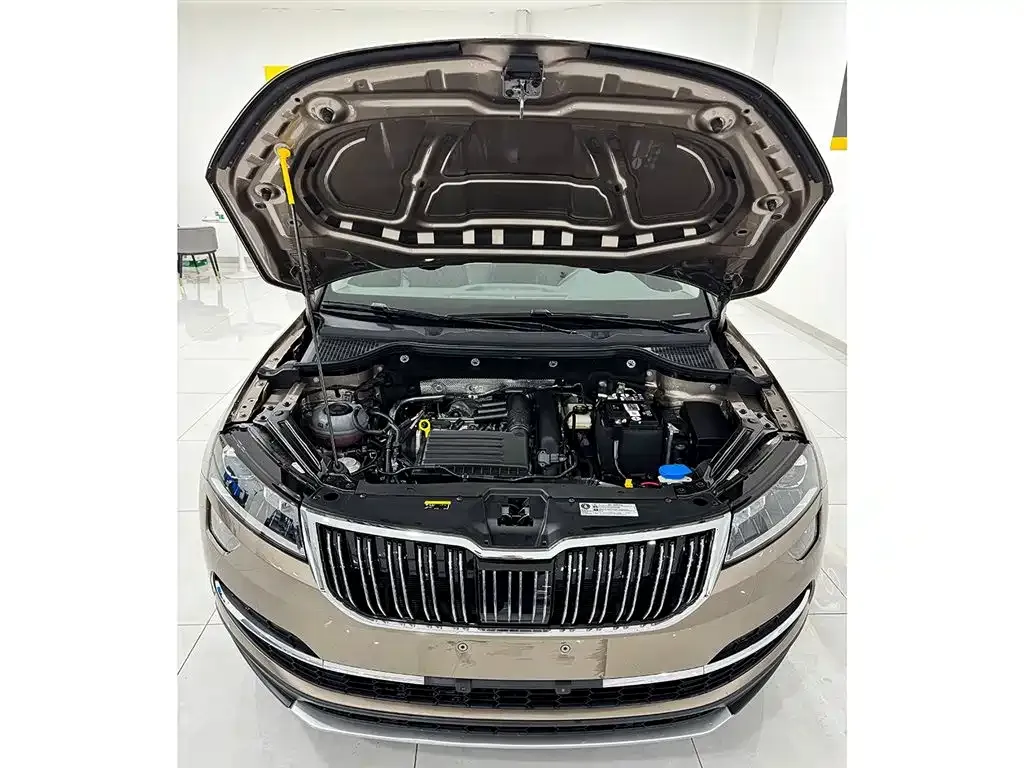 Skoda Karoq 2022 из CN, фото 6