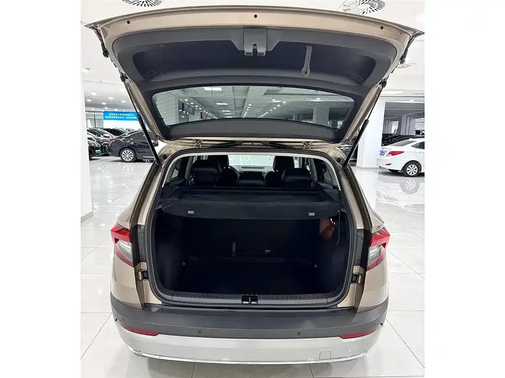 Skoda Karoq 2022 из CN, фото 3