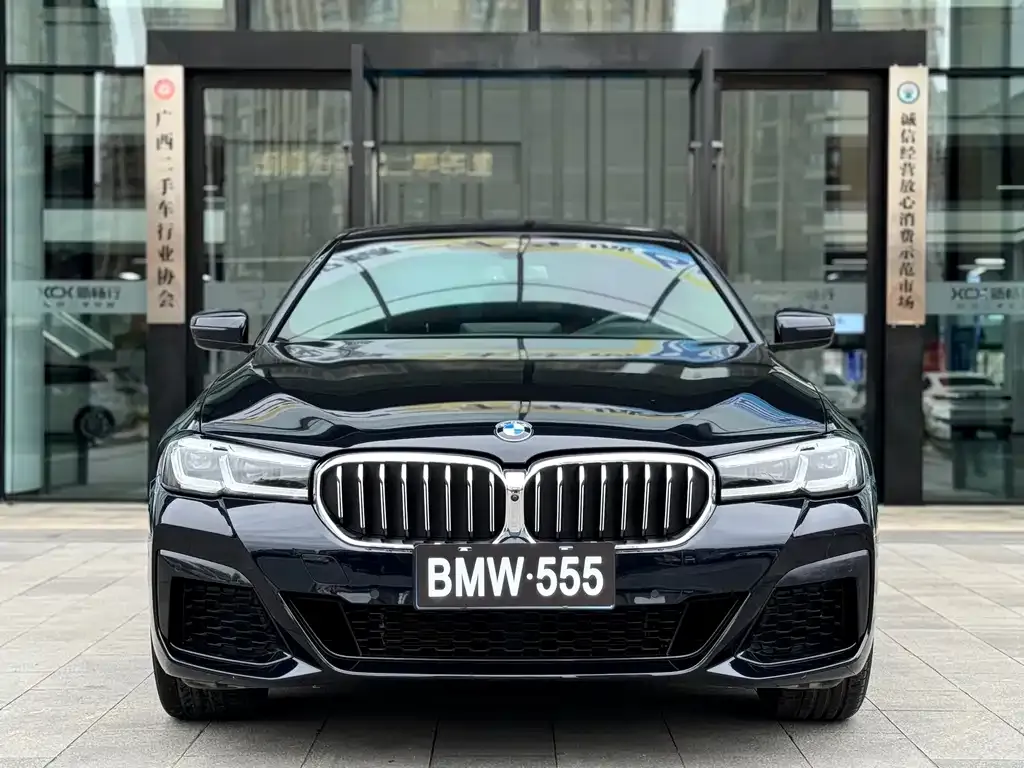 BMW 5 Series 2023 из CN, фото 3