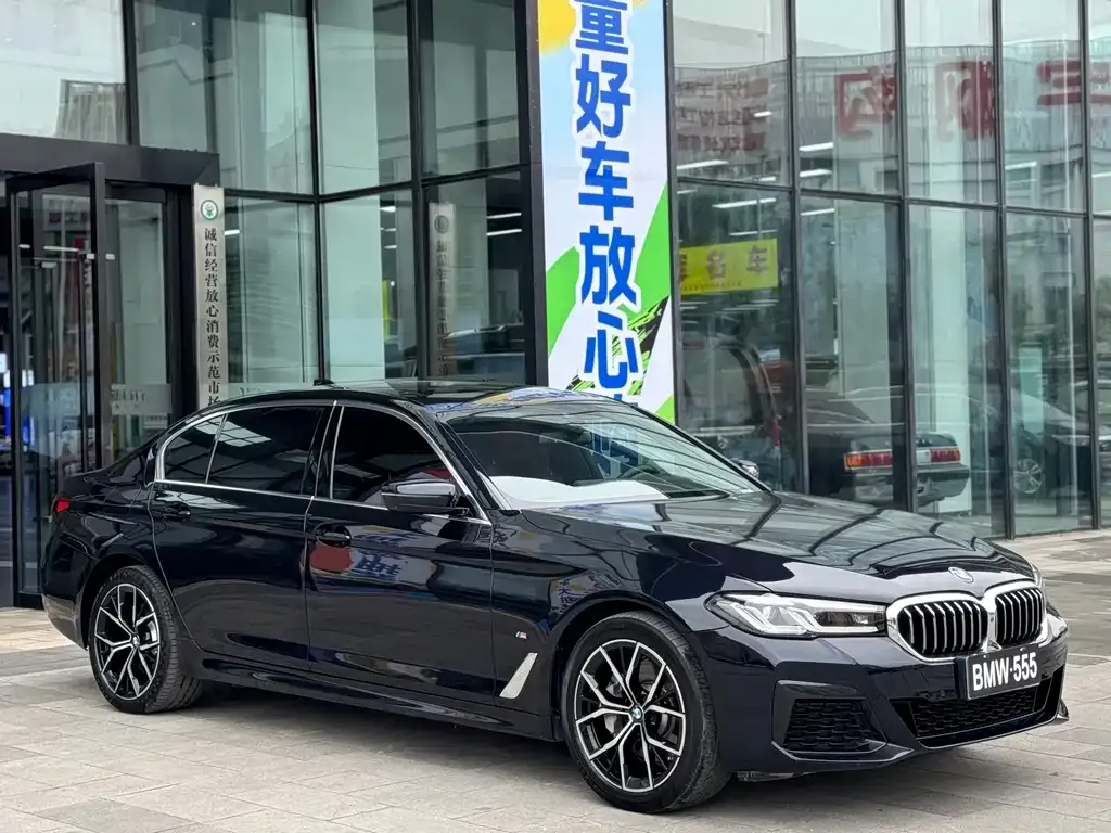 BMW 5 Series 2023 из CN, фото 9