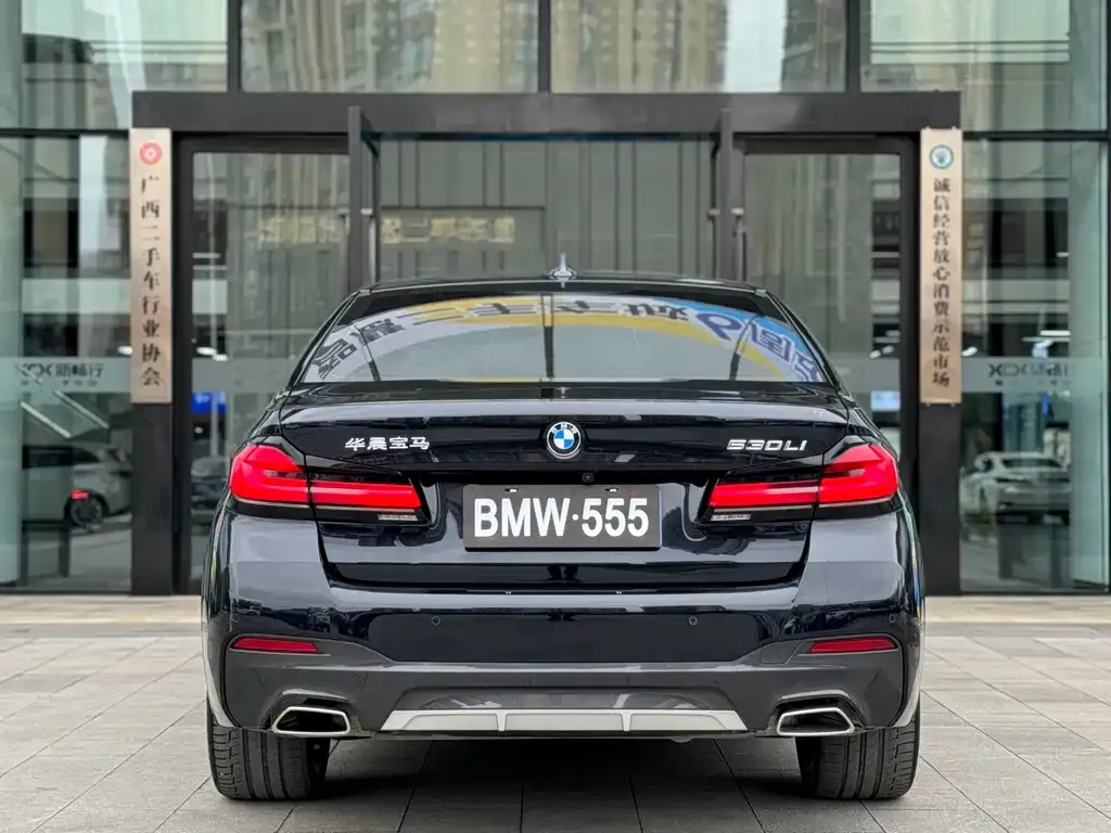 BMW 5 Series 2023 из CN, фото 4