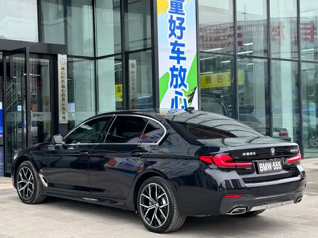 BMW 5 Series 2023 из CN, фото 10