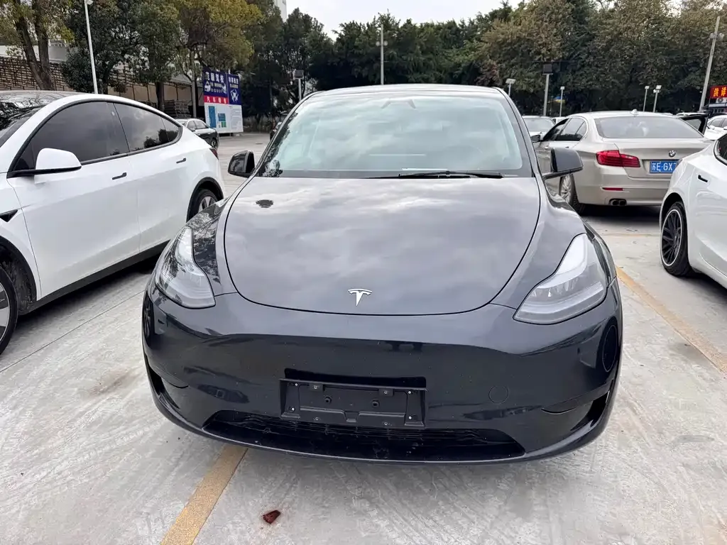 Tesla Model Y 2024 из CN, фото 1