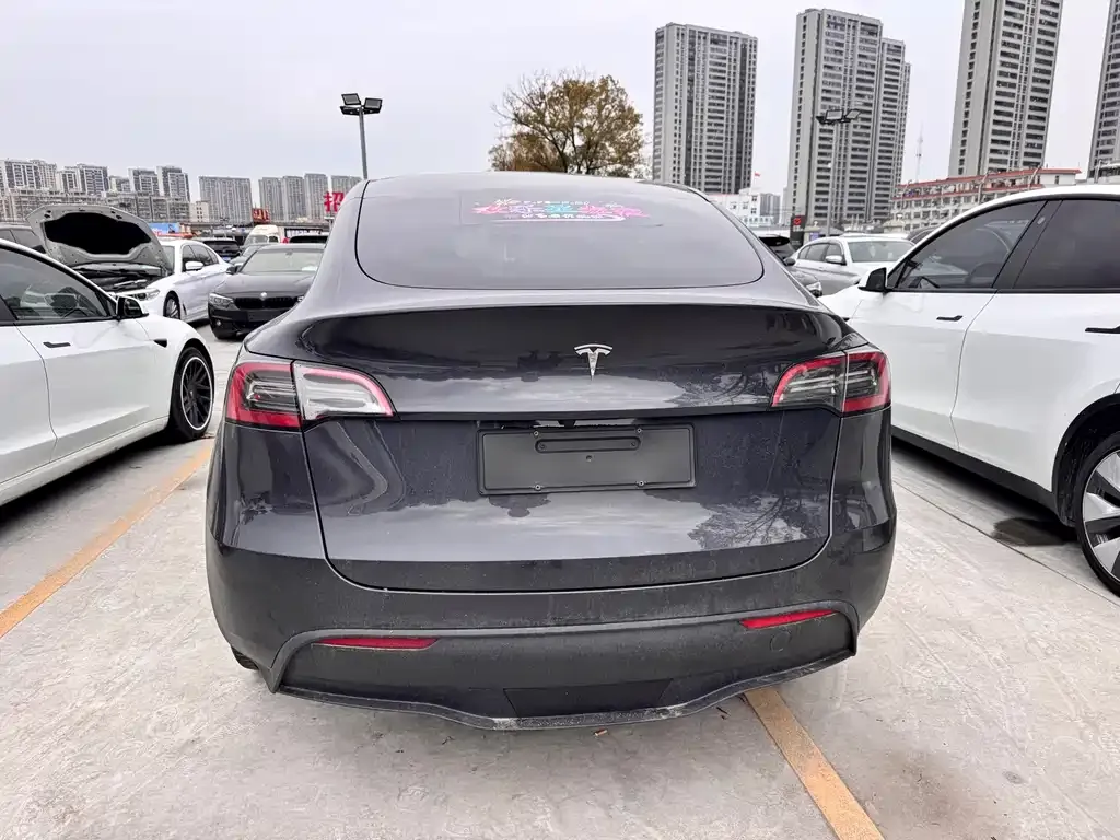 Tesla Model Y 2024 из CN, фото 6