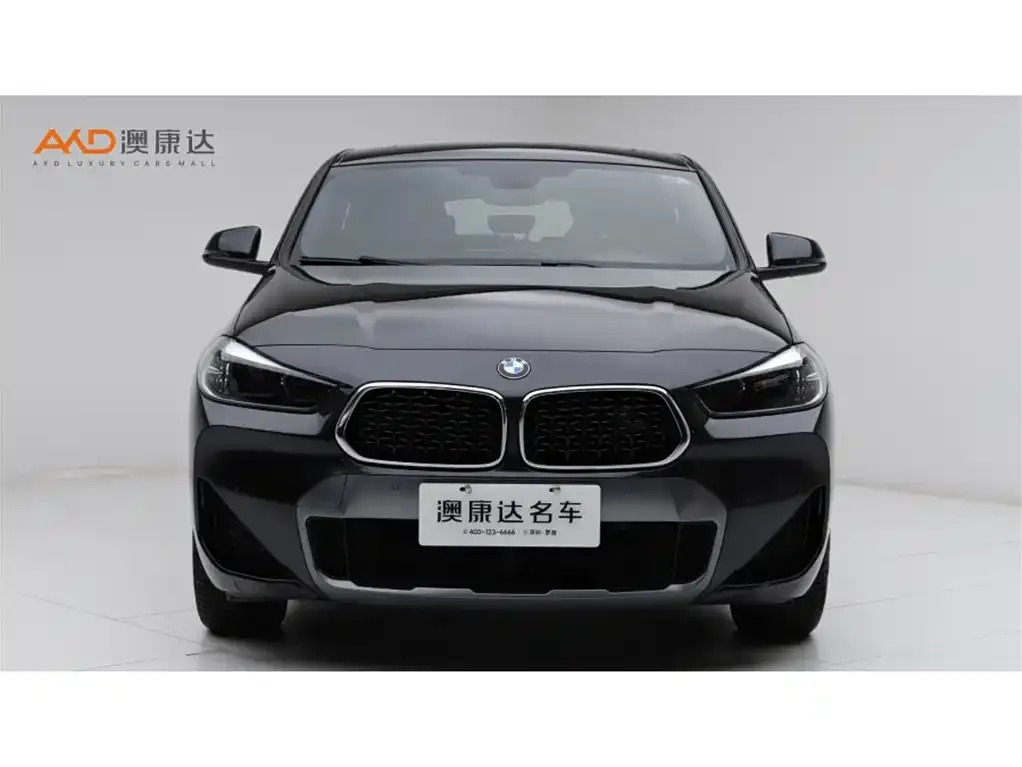 BMW X2 2021 из CN, фото 2