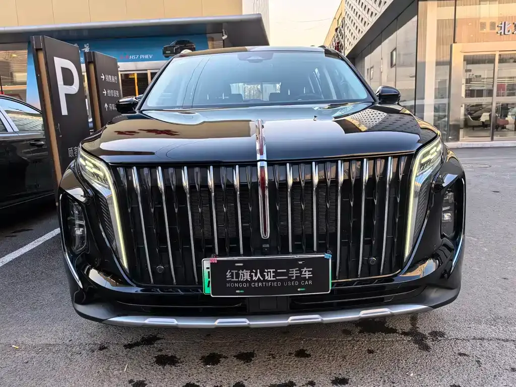 Hongqi HS7 PHEV 2024 из CN, фото 9