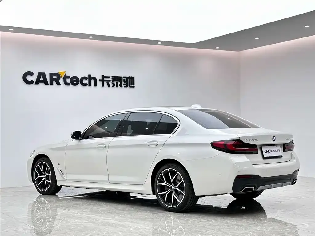 BMW 5 Series 2022 из CN, фото 5