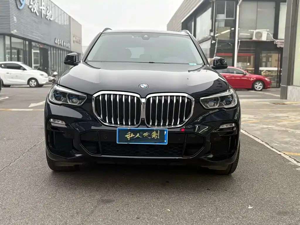 BMW X5 (Import) 2021 из CN, фото 7